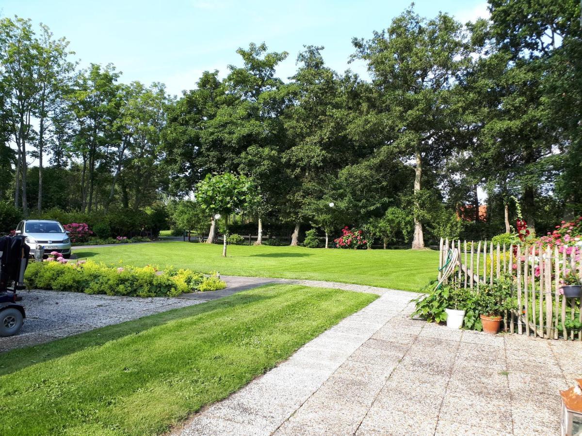 Boshut Schoorl Villa Eksteriør billede
